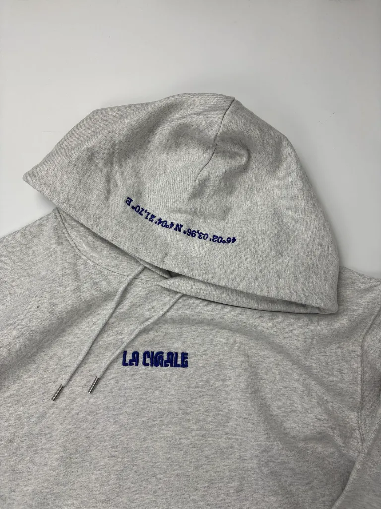 Hoodie gris(3).webp