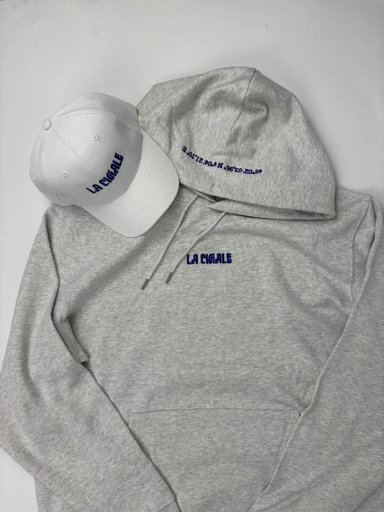 Hoodie gris(1).webp